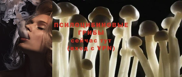 PSILOCYBIN Бронницы